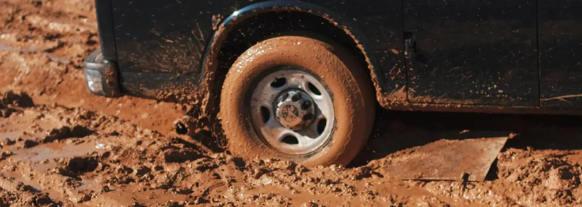 Image from Quicksand